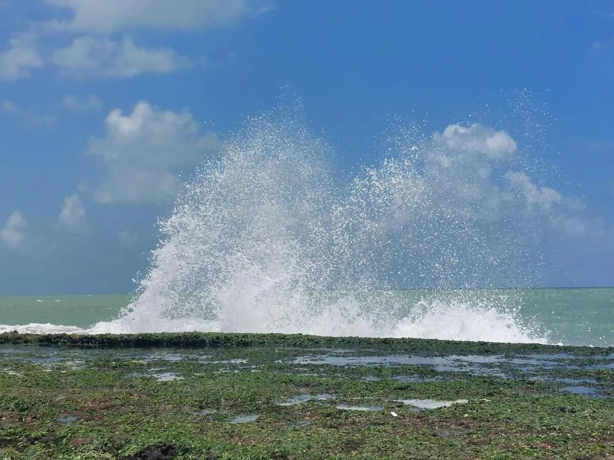 Daire Aconchego Com Vista Para O Mar Recife